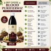 Blood purifier done