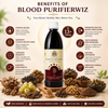 Blood purifier done