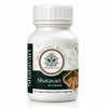 Shatavari