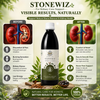 Stonewiz